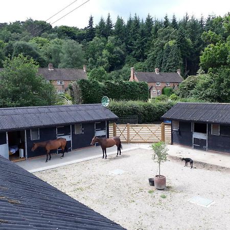 Crockers Farm Villa Dorking Eksteriør bilde